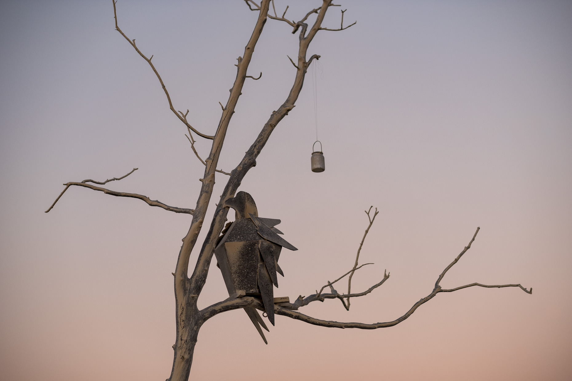 BurningMan2017SysimetsaCrowtrees-9168-APF1860px