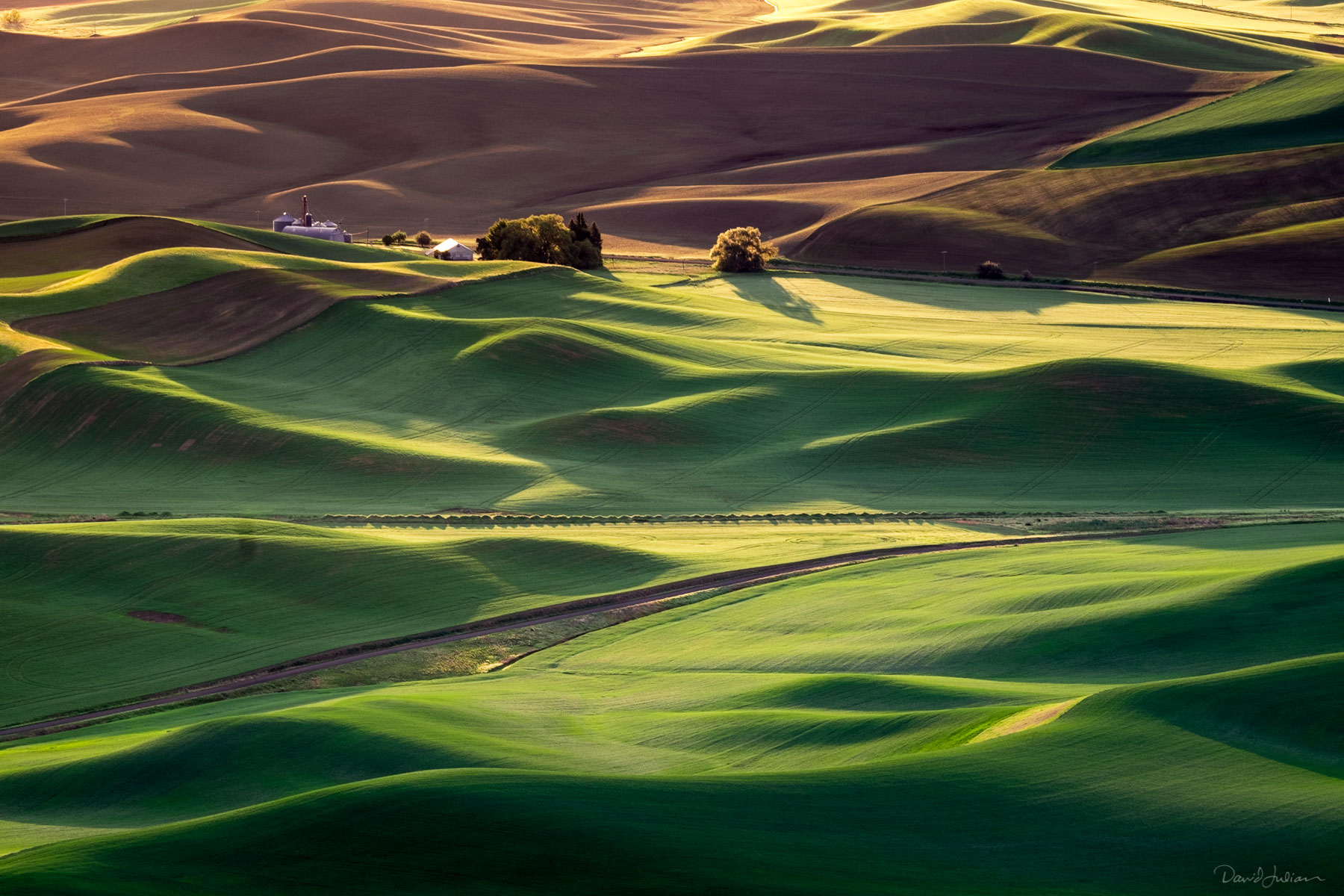 Palouse_Steptoe_Butte_Sunrise-1570