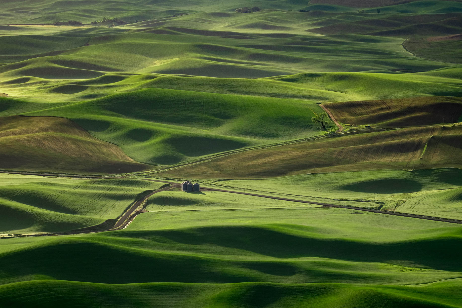 Palouse_Steptoe_Butte_Sunrise-1687-APF1860px