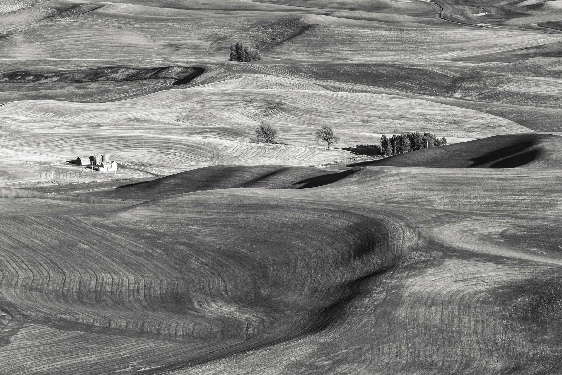 Palouse_farmlands--APF1860px