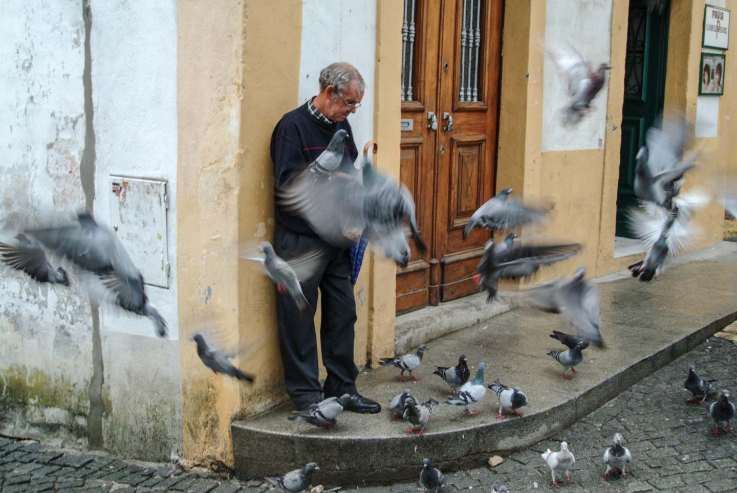 Portugal,_Man_Feeding_Pigeons-1167.jpg