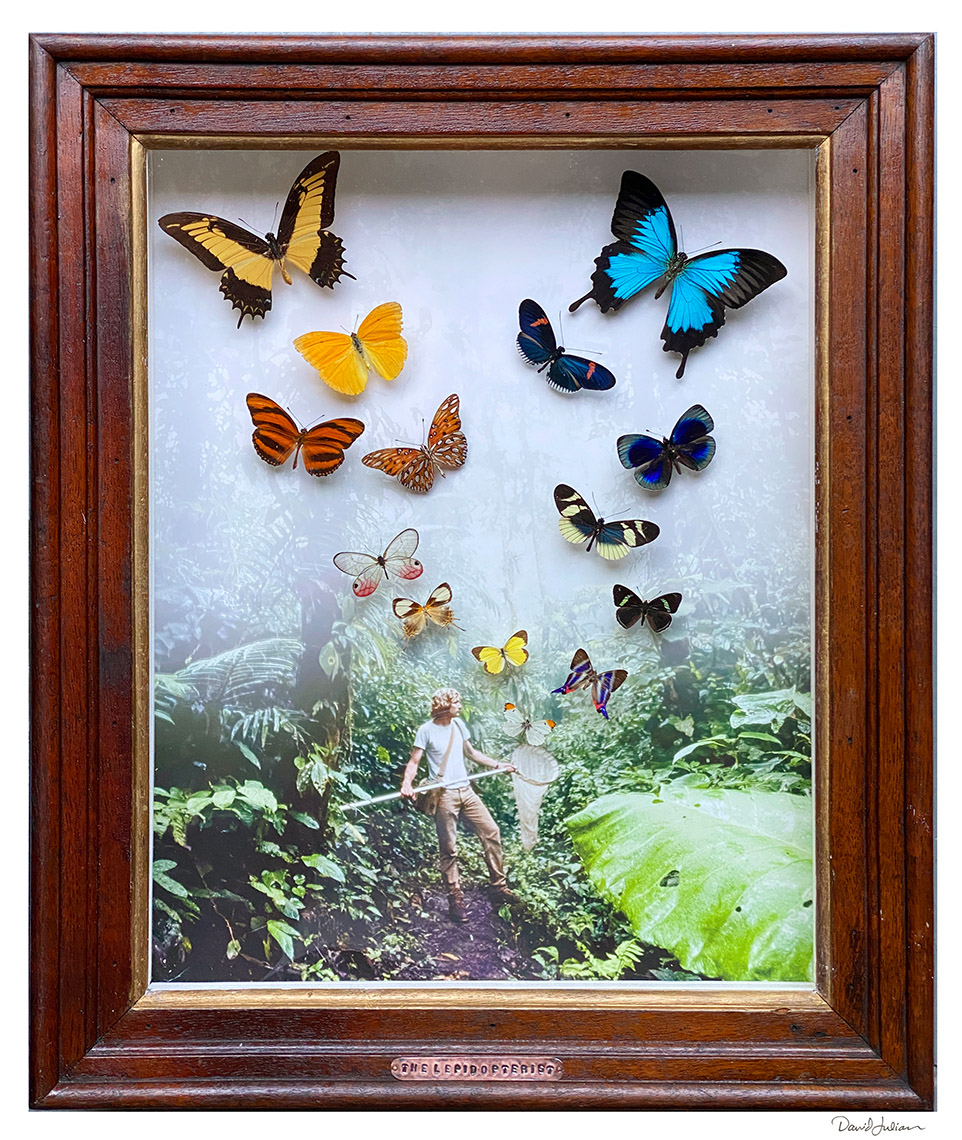 TheLepidopteristAPF
