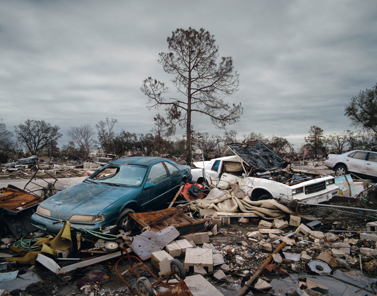 carpile-FULL.ret_APF_1280x.jpg