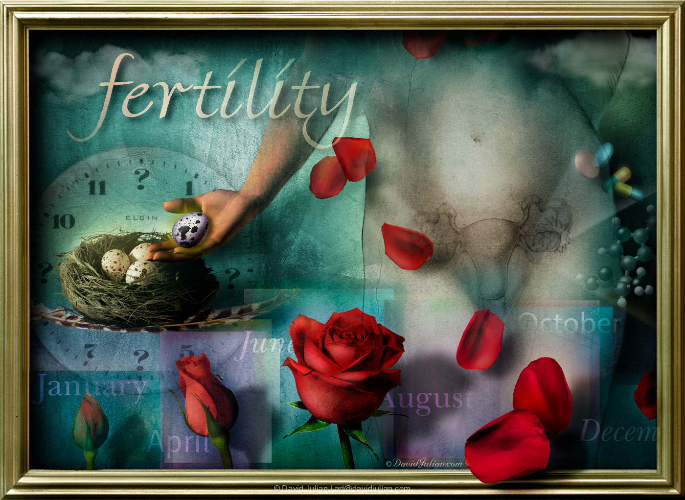 fertility_2.jpg