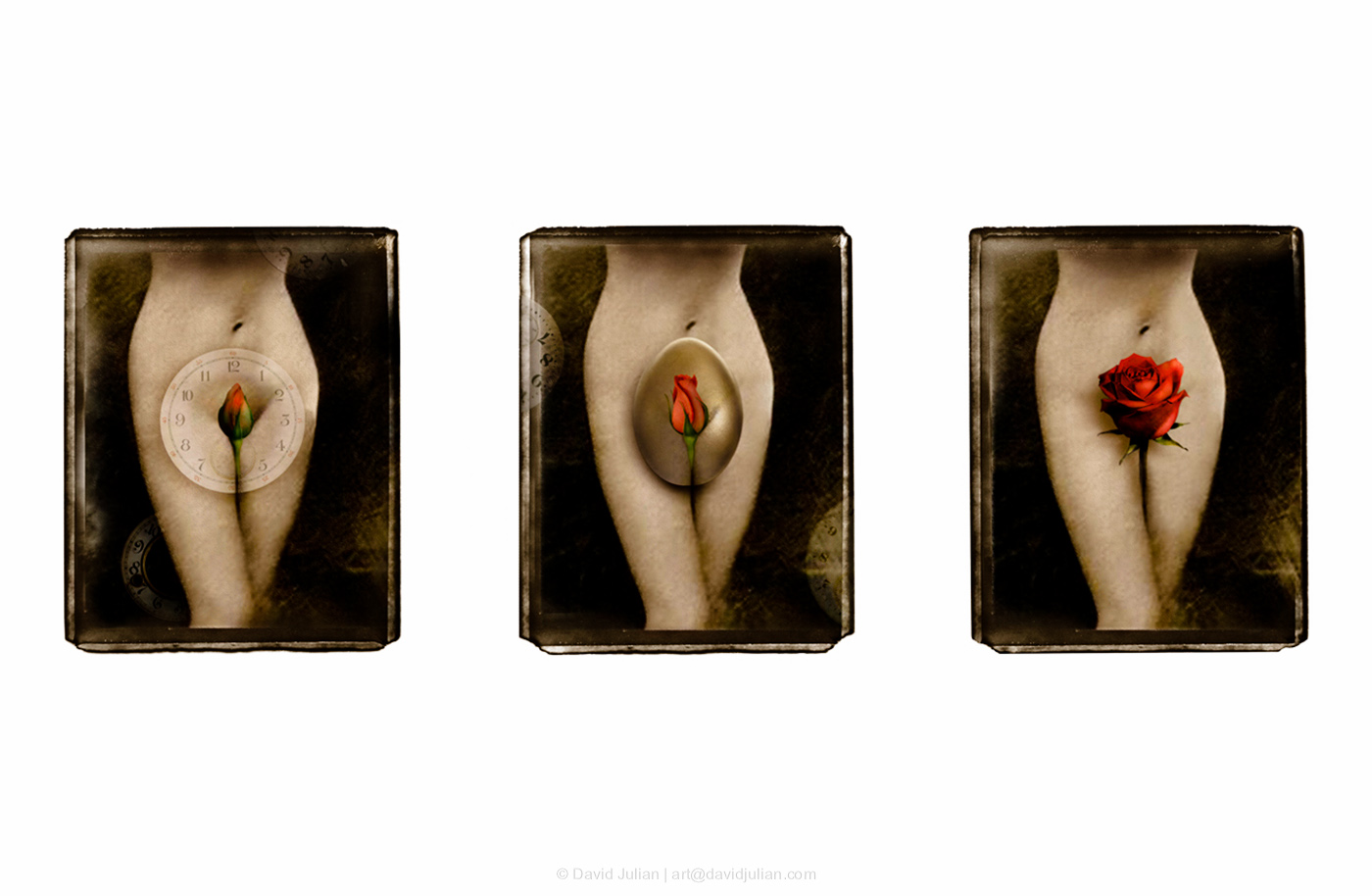 fertility_triptych.jpg